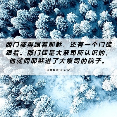 Picture 06 - 约 翰 福 音 18:15 CUVS - 西 门 彼 得 跟 着 耶 稣 ， 还 有 一 - Bible Verse Picture