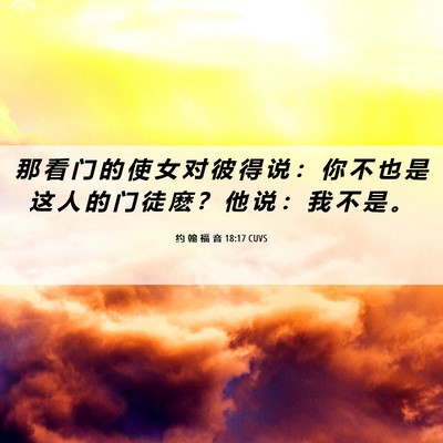 Picture 06 - 约 翰 福 音 18:17 CUVS - 那 看 门 的 使 女 对 彼 得 说 ： 你 - Bible Verse Picture