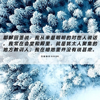 Picture 06 - 约 翰 福 音 18:20 CUVS - 耶 稣 回 答 说 ： 我 从 来 是 明 明 - Bible Verse Picture