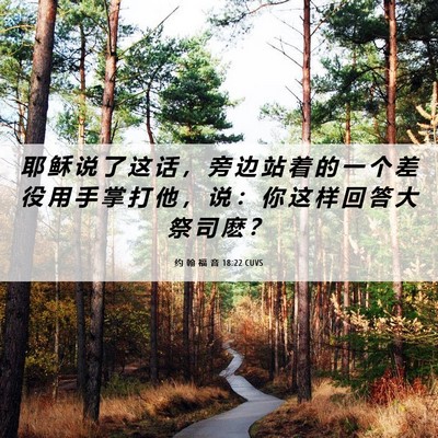 Picture 06 - 约 翰 福 音 18:22 CUVS - 耶 稣 说 了 这 话 ， 旁 边 站 着 的 - Bible Verse Picture