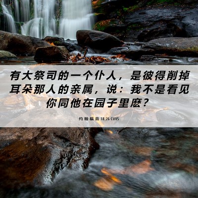 Picture 06 - 约 翰 福 音 18:26 CUVS - 有 大 祭 司 的 一 个 仆 人 ， 是 彼 - Bible Verse Picture