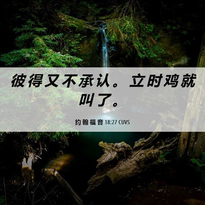 Picture 06 - 约 翰 福 音 18:27 CUVS - 彼 得 又 不 承 认 。 立 时 鸡 就 叫 - Bible Verse Picture