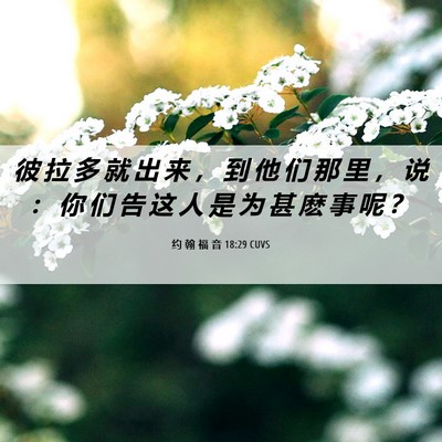Picture 06 - 约 翰 福 音 18:29 CUVS - 彼 拉 多 就 出 来 ， 到 他 们 那 里 - Bible Verse Picture