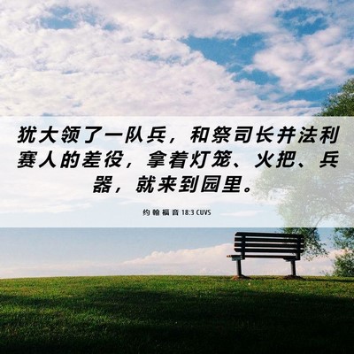 Picture 06 - 约 翰 福 音 18:3 CUVS - 犹 大 领 了 一 队 兵 ， 和 祭 司 长 - Bible Verse Picture