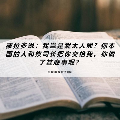 Picture 06 - 约 翰 福 音 18:35 CUVS - 彼 拉 多 说 ： 我 岂 是 犹 太 人 呢 - Bible Verse Picture