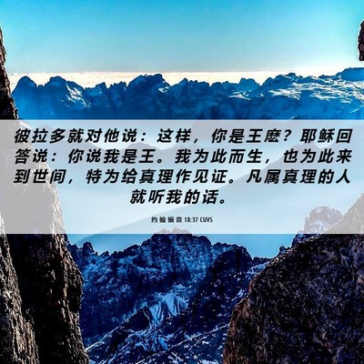 Picture 06 - 约 翰 福 音 18:37 CUVS - 彼 拉 多 就 对 他 说 ： 这 样 ， 你 - Bible Verse Picture