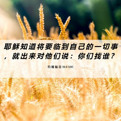 Picture 06 - 约 翰 福 音 18:4 CUVS - 耶 稣 知 道 将 要 临 到 自 己 的 一 - Bible Verse Picture