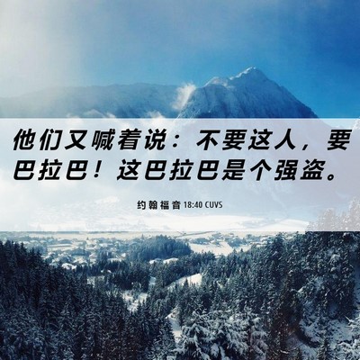 Picture 06 - 约 翰 福 音 18:40 CUVS - 他 们 又 喊 着 说 ： 不 要 这 人 ， - Bible Verse Picture