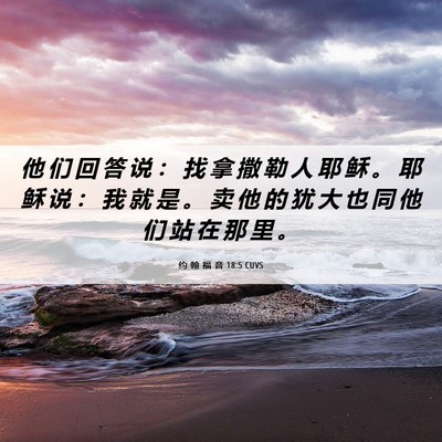 Picture 06 - 约 翰 福 音 18:5 CUVS - 他 们 回 答 说 ： 找 拿 撒 勒 人 耶 - Bible Verse Picture