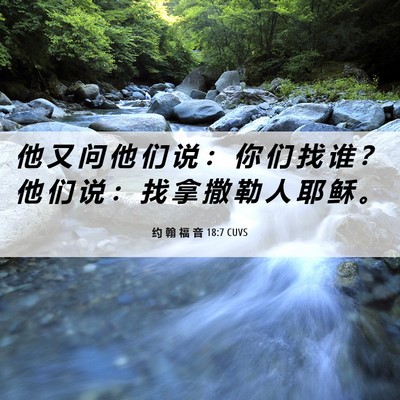 Picture 06 - 约 翰 福 音 18:7 CUVS - 他 又 问 他 们 说 ： 你 们 找 谁 ？ - Bible Verse Picture