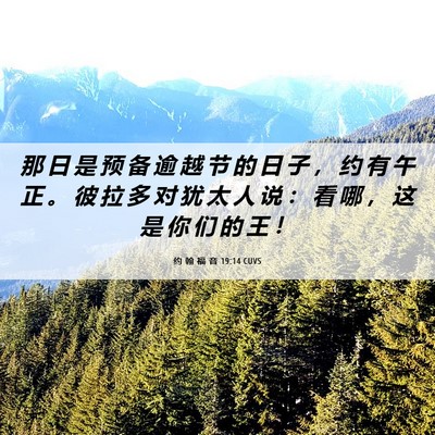 Picture 06 - 约 翰 福 音 19:14 CUVS - 那 日 是 预 备 逾 越 节 的 日 子 ， - Bible Verse Picture