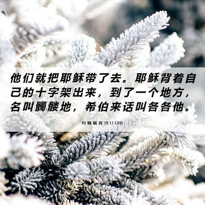 Picture 06 - 约 翰 福 音 19:17 CUVS - 他 们 就 把 耶 稣 带 了 去 。 耶 稣 - Bible Verse Picture