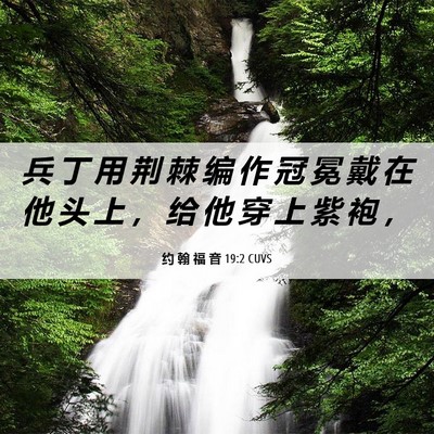 Picture 06 - 约 翰 福 音 19:2 CUVS - 兵 丁 用 荆 棘 编 作 冠 冕 戴 在 他 - Bible Verse Picture