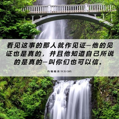 Picture 06 - 约 翰 福 音 19:35 CUVS - 看 见 这 事 的 那 人 就 作 见 证 ─ - Bible Verse Picture