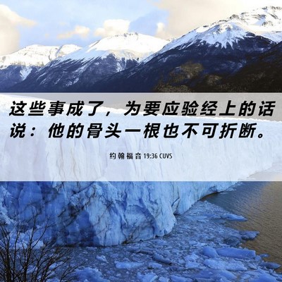 Picture 06 - 约 翰 福 音 19:36 CUVS - 这 些 事 成 了 ， 为 要 应 验 经 上 - Bible Verse Picture