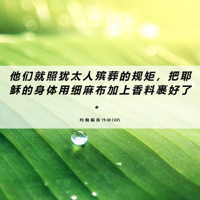 Picture 06 - 约 翰 福 音 19:40 CUVS - 他 们 就 照 犹 太 人 殡 葬 的 规 矩 - Bible Verse Picture