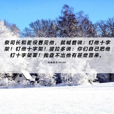Picture 06 - 约 翰 福 音 19:6 CUVS - 祭 司 长 和 差 役 看 见 他 ， 就 喊 - Bible Verse Picture