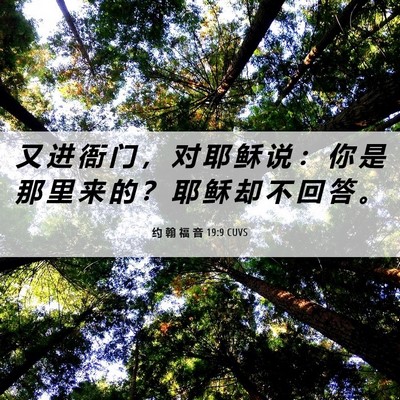 Picture 06 - 约 翰 福 音 19:9 CUVS - 又 进 衙 门 ， 对 耶 稣 说 ： 你 是 - Bible Verse Picture