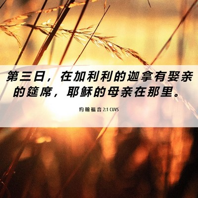 Picture 06 - 约 翰 福 音 2:1 CUVS - 第 三 日 ， 在 加 利 利 的 迦 拿 有 - Bible Verse Picture