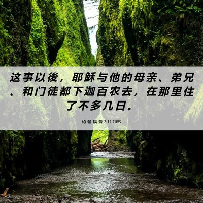 Picture 06 - 约 翰 福 音 2:12 CUVS - 这 事 以 後 ， 耶 稣 与 他 的 母 亲 - Bible Verse Picture