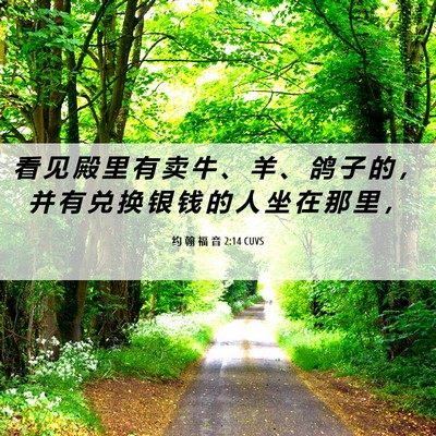 Picture 06 - 约 翰 福 音 2:14 CUVS - 看 见 殿 里 有 卖 牛 、 羊 、 鸽 子 - Bible Verse Picture