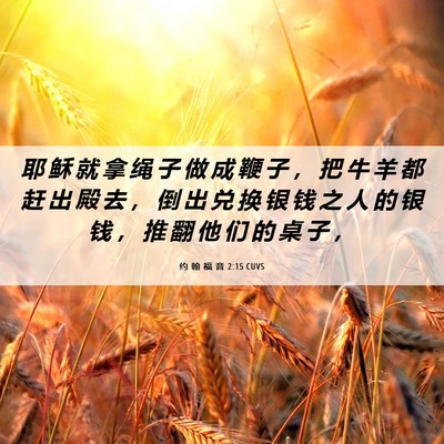 Picture 06 - 约 翰 福 音 2:15 CUVS - 耶 稣 就 拿 绳 子 做 成 鞭 子 ， 把 - Bible Verse Picture