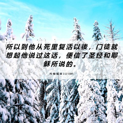 Picture 06 - 约 翰 福 音 2:22 CUVS - 所 以 到 他 从 死 里 复 活 以 後 ， - Bible Verse Picture