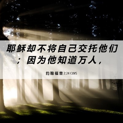 Picture 06 - 约 翰 福 音 2:24 CUVS - 耶 稣 却 不 将 自 己 交 托 他 们 ； - Bible Verse Picture