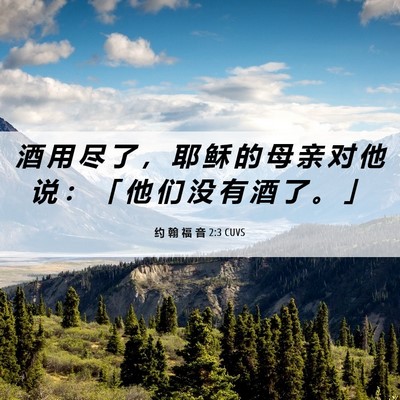 Picture 06 - 约 翰 福 音 2:3 CUVS - 酒 用 尽 了 ， 耶 稣 的 母 亲 对 他 - Bible Verse Picture
