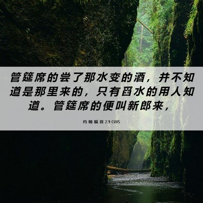 Picture 06 - 约 翰 福 音 2:9 CUVS - 管 筵 席 的 尝 了 那 水 变 的 酒 ， - Bible Verse Picture