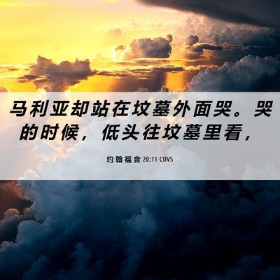 Picture 06 - 约 翰 福 音 20:11 CUVS - 马 利 亚 却 站 在 坟 墓 外 面 哭 。 - Bible Verse Picture