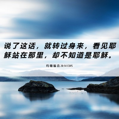 Picture 06 - 约 翰 福 音 20:14 CUVS - 说 了 这 话 ， 就 转 过 身 来 ， 看 - Bible Verse Picture