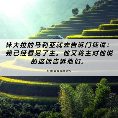 Picture 06 - 约 翰 福 音 20:18 CUVS - 抹 大 拉 的 马 利 亚 就 去 告 诉 门 - Bible Verse Picture