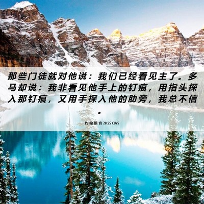 Picture 06 - 约 翰 福 音 20:25 CUVS - 那 些 门 徒 就 对 他 说 ： 我 们 已 - Bible Verse Picture