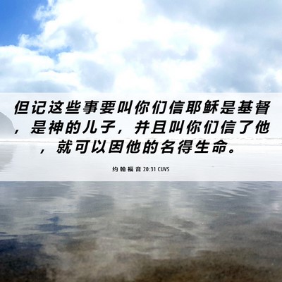 Picture 06 - 约 翰 福 音 20:31 CUVS - 但 记 这 些 事 要 叫 你 们 信 耶 稣 - Bible Verse Picture
