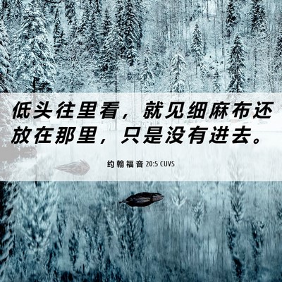 Picture 06 - 约 翰 福 音 20:5 CUVS - 低 头 往 里 看 ， 就 见 细 麻 布 还 - Bible Verse Picture