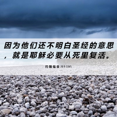 Picture 06 - 约 翰 福 音 20:9 CUVS - 因 为 他 们 还 不 明 白 圣 经 的 意 - Bible Verse Picture