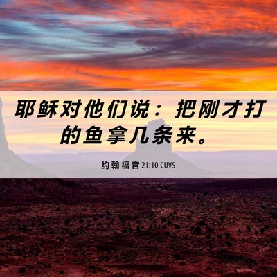 Picture 06 - 约 翰 福 音 21:10 CUVS - 耶 稣 对 他 们 说 ： 把 刚 才 打 的 - Bible Verse Picture
