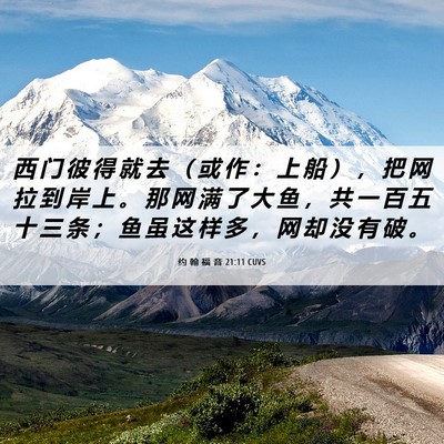 Picture 06 - 约 翰 福 音 21:11 CUVS - 西 门 彼 得 就 去 （ 或 作 ： 上 船 - Bible Verse Picture