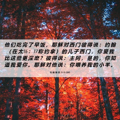 Picture 06 - 约 翰 福 音 21:15 CUVS - 他 们 吃 完 了 早 饭 ， 耶 稣 对 西 - Bible Verse Picture