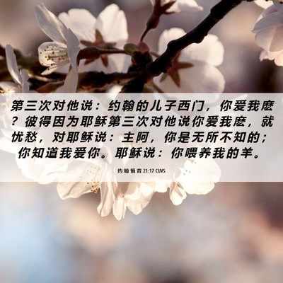 Picture 06 - 约 翰 福 音 21:17 CUVS - 第 三 次 对 他 说 ： 约 翰 的 儿 子 - Bible Verse Picture
