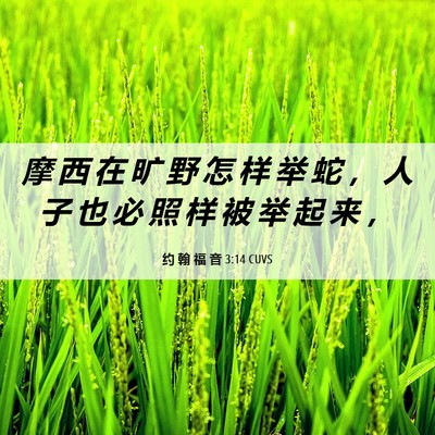 Picture 06 - 约 翰 福 音 3:14 CUVS - 摩 西 在 旷 野 怎 样 举 蛇 ， 人 子 - Bible Verse Picture