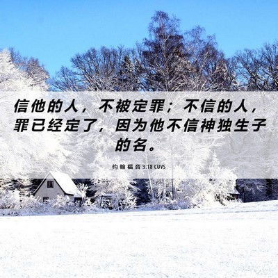 Picture 06 - 约 翰 福 音 3:18 CUVS - 信 他 的 人 ， 不 被 定 罪 ； 不 信 - Bible Verse Picture