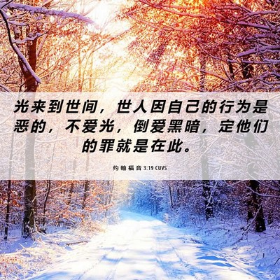 Picture 06 - 约 翰 福 音 3:19 CUVS - 光 来 到 世 间 ， 世 人 因 自 己 的 - Bible Verse Picture