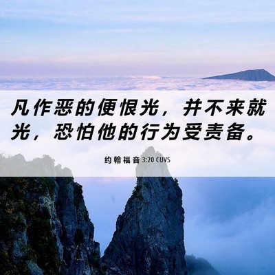 Picture 06 - 约 翰 福 音 3:20 CUVS - 凡 作 恶 的 便 恨 光 ， 并 不 来 就 - Bible Verse Picture
