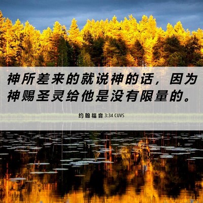Picture 06 - 约 翰 福 音 3:34 CUVS - 神 所 差 来 的 就 说 神 的 话 ， 因 - Bible Verse Picture
