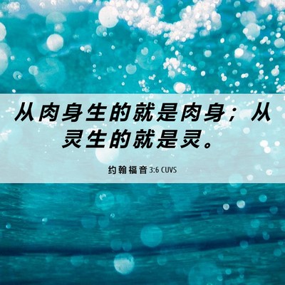 Picture 06 - 约 翰 福 音 3:6 CUVS - 从 肉 身 生 的 就 是 肉 身 ； 从 灵 - Bible Verse Picture