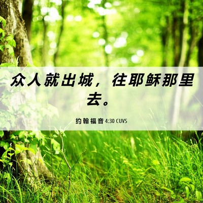 Picture 06 - 约 翰 福 音 4:30 CUVS - 众 人 就 出 城 ， 往 耶 稣 那 里 去 - Bible Verse Picture