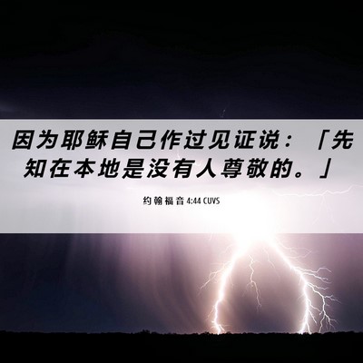 Picture 06 - 约 翰 福 音 4:44 CUVS - 因 为 耶 稣 自 己 作 过 见 证 说 ： - Bible Verse Picture