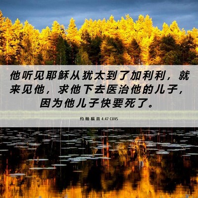 Picture 06 - 约 翰 福 音 4:47 CUVS - 他 听 见 耶 稣 从 犹 太 到 了 加 利 - Bible Verse Picture